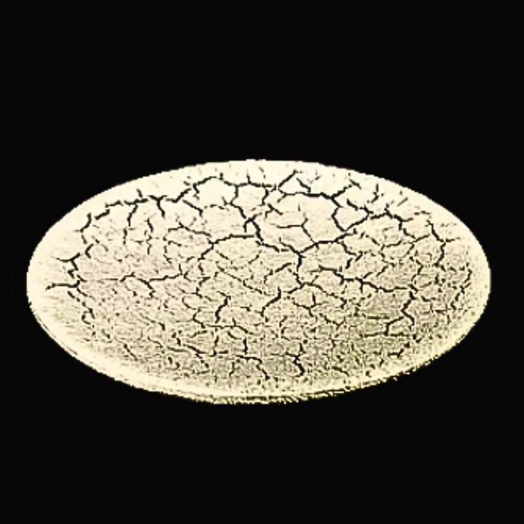 ひび割れを特徴した今までにない唯一無二の漆塗りの皿です。私が生み出した寂裂技法と言う技法で作り上げました。大地を感じることができる漆器です。